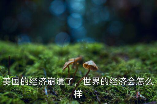 美國的經(jīng)濟(jì)崩潰了，世界的經(jīng)濟(jì)會(huì)怎么樣