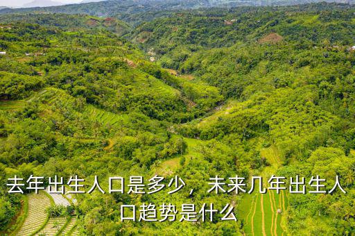 去年出生人口是多少，未來(lái)幾年出生人口趨勢(shì)是什么