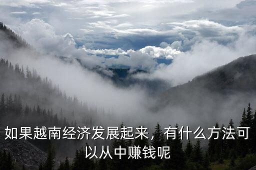 如果越南經(jīng)濟(jì)發(fā)展起來，有什么方法可以從中賺錢呢