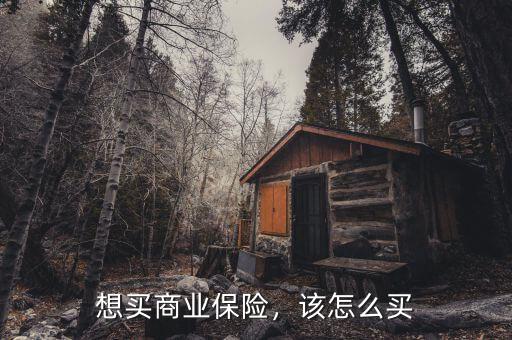 想買(mǎi)商業(yè)保險(xiǎn)，該怎么買(mǎi)