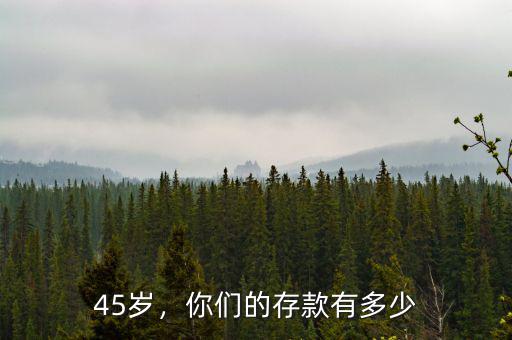 45歲，你們的存款有多少