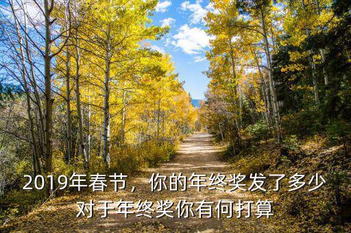2019年春節(jié)，你的年終獎發(fā)了多少對于年終獎你有何打算