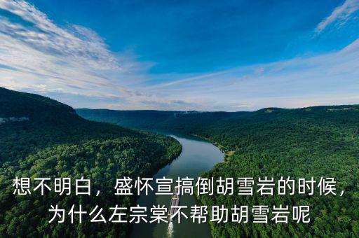 想不明白，盛懷宣搞倒胡雪巖的時(shí)候，為什么左宗棠不幫助胡雪巖呢