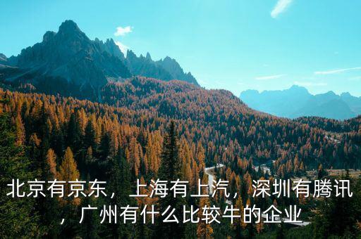 北京有京東，上海有上汽，深圳有騰訊，廣州有什么比較牛的企業(yè)