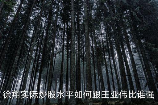 徐翔實際炒股水平如何跟王亞偉比誰強(qiáng)