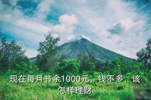 現(xiàn)在每月節(jié)余1000元，錢不多，該怎樣理財