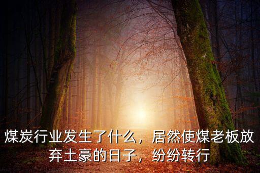 煤炭行業(yè)發(fā)生了什么，居然使煤老板放棄土豪的日子，紛紛轉(zhuǎn)行