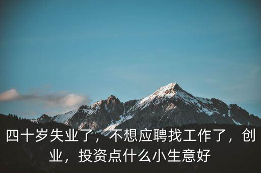 四十歲失業(yè)了，不想應(yīng)聘找工作了，創(chuàng)業(yè)，投資點(diǎn)什么小生意好