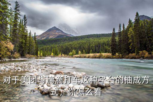 對于美團(tuán)與滴滴打車這種平臺的抽成方式，你怎么看