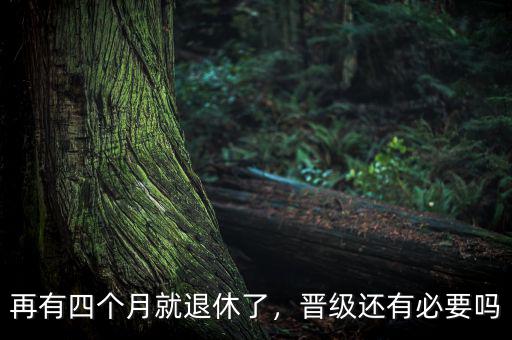 再有四個(gè)月就退休了，晉級還有必要嗎