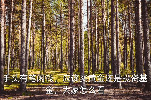 手頭有筆閑錢，應(yīng)該買黃金還是投資基金，大家怎么看