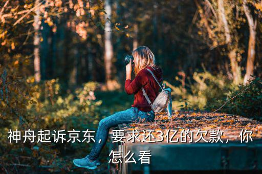 神舟起訴京東，要求還3億的欠款，你怎么看