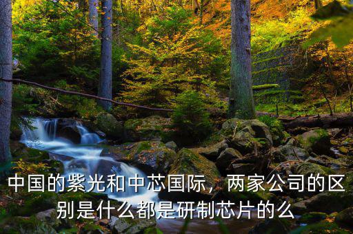 中國的紫光和中芯國際，兩家公司的區(qū)別是什么都是研制芯片的么