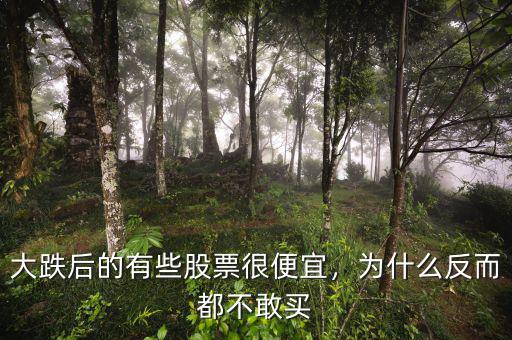 大跌后的有些股票很便宜，為什么反而都不敢買