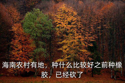 海南農(nóng)村有地，種什么比較好之前種橡膠，已經(jīng)砍了