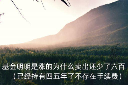 交通銀行買的基金份數怎么變少了,買了一萬多的基金