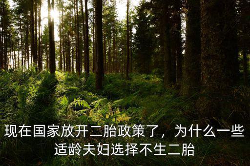 現(xiàn)在國家放開二胎政策了，為什么一些適齡夫婦選擇不生二胎