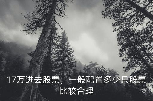 17萬(wàn)進(jìn)去股票，一般配置多少只股票比較合理