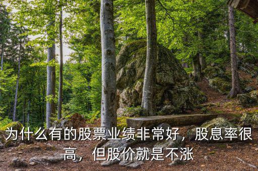 為什么有的股票業(yè)績非常好，股息率很高，但股價(jià)就是不漲