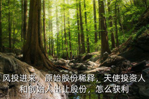風(fēng)投進(jìn)來，原始股份稀釋，天使投資人和創(chuàng)始人出讓股份，怎么獲利