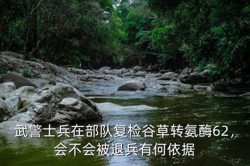 武警士兵在部隊(duì)復(fù)檢谷草轉(zhuǎn)氨酶62，會(huì)不會(huì)被退兵有何依據(jù)