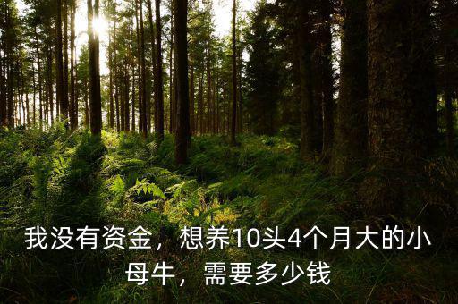 我沒有資金，想養(yǎng)10頭4個(gè)月大的小母牛，需要多少錢