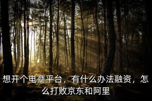 想開(kāi)個(gè)電商平臺(tái)，有什么辦法融資，怎么打敗京東和阿里