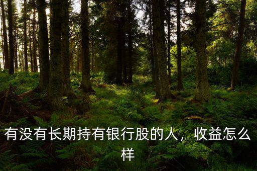 有沒(méi)有長(zhǎng)期持有銀行股的人，收益怎么樣