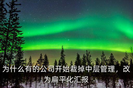 為什么有的公司開始裁掉中層管理，改為扁平化匯報