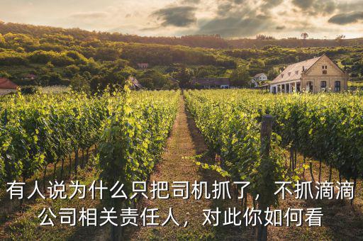 有人說為什么只把司機抓了，不抓滴滴公司相關責任人，對此你如何看