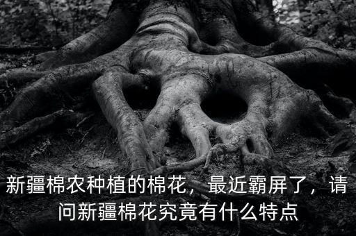新疆棉農(nóng)種植的棉花，最近霸屏了，請(qǐng)問(wèn)新疆棉花究竟有什么特點(diǎn)