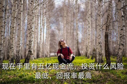現(xiàn)在手里有五億現(xiàn)金流，投資什么風(fēng)險最低，回報率最高