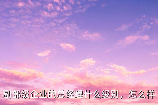 當官是什么級別,什么是職務什么是職稱