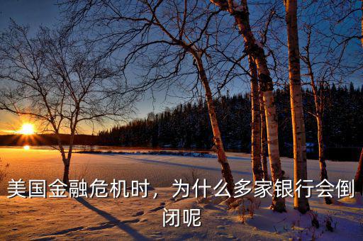 美國(guó)金融危機(jī)時(shí)，為什么多家銀行會(huì)倒閉呢