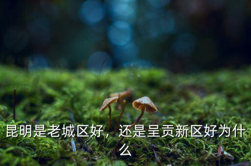 昆明是老城區(qū)好，還是呈貢新區(qū)好為什么