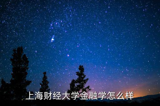 上海開利財經怎么樣,上海財經大學數學專業(yè)怎么樣