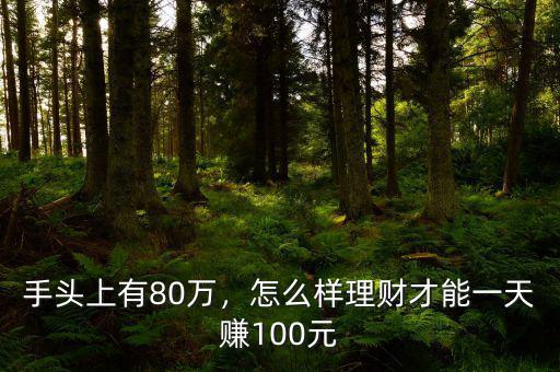 手頭上有80萬，怎么樣理財(cái)才能一天賺100元