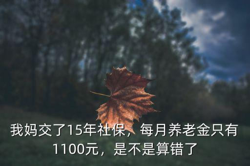 我媽交了15年社保，每月養(yǎng)老金只有1100元，是不是算錯(cuò)了