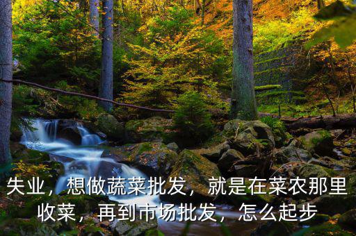 失業(yè)，想做蔬菜批發(fā)，就是在菜農(nóng)那里收菜，再到市場(chǎng)批發(fā)，怎么起步