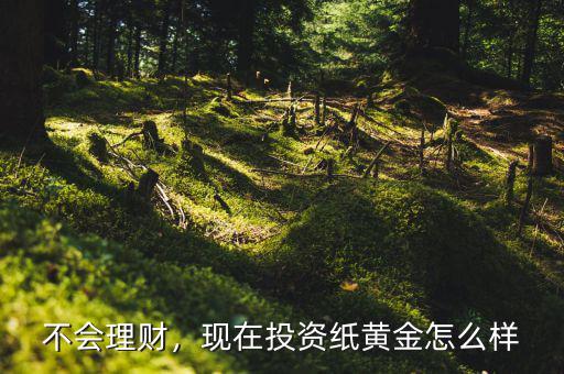 不會理財，現(xiàn)在投資紙黃金怎么樣
