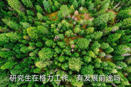 研究生在格力工作，有發(fā)展前途嗎