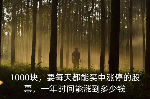 1000塊，要每天都能買中漲停的股票，一年時(shí)間能漲到多少錢