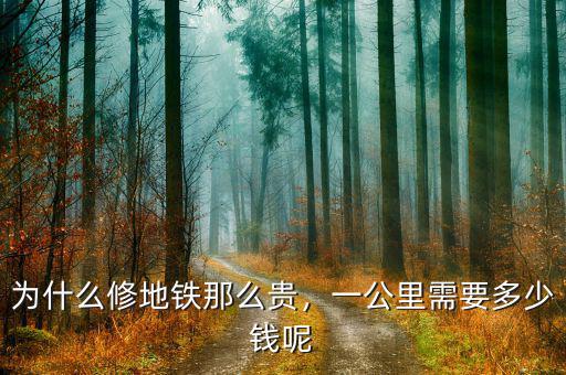 為什么修地鐵那么貴，一公里需要多少錢(qián)呢