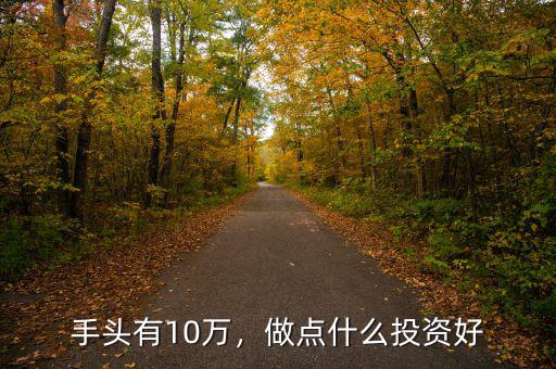 手頭有10萬，做點什么投資好
