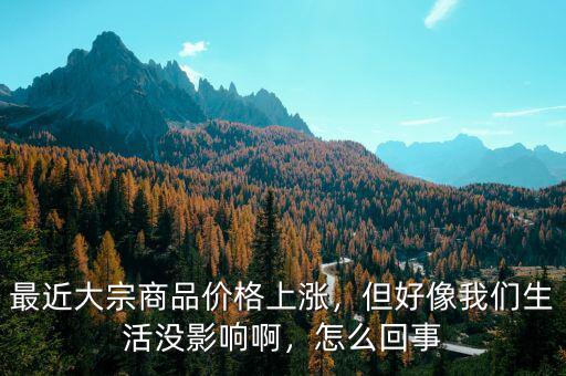 最近大宗商品價(jià)格上漲，但好像我們生活沒影響啊，怎么回事