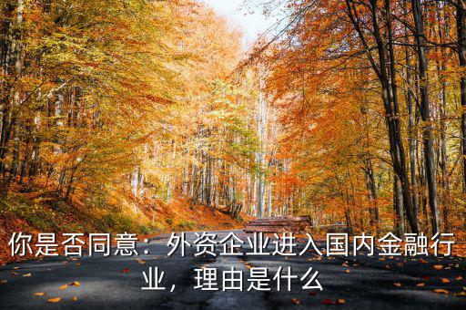 你是否同意：外資企業(yè)進(jìn)入國(guó)內(nèi)金融行業(yè)，理由是什么