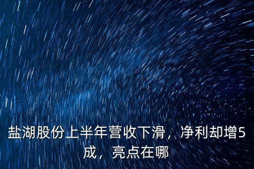 鹽湖股份上半年營收下滑，凈利卻增5成，亮點在哪