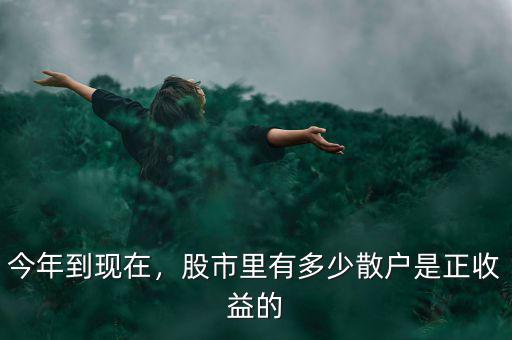 今年到現(xiàn)在，股市里有多少散戶是正收益的