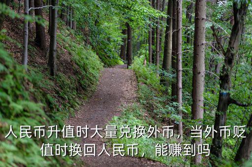 人民幣升值時大量兌換外幣，當(dāng)外幣貶值時換回人民幣，能賺到嗎