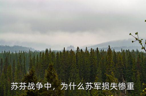 蘇芬戰(zhàn)爭中，為什么蘇軍損失慘重